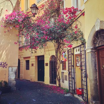 Typical house of Rome - бесплатный image #331055